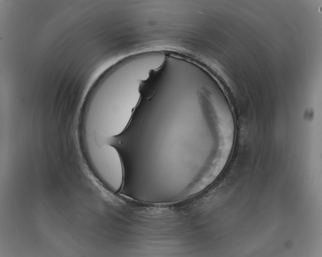 X0000091961024200709271342