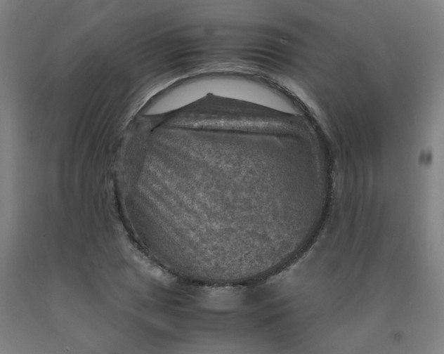 X0000091961025200709271342