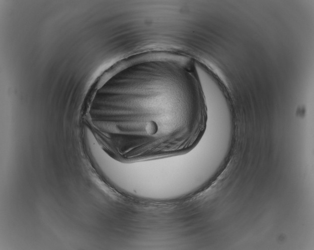 X0000091961026200709271342