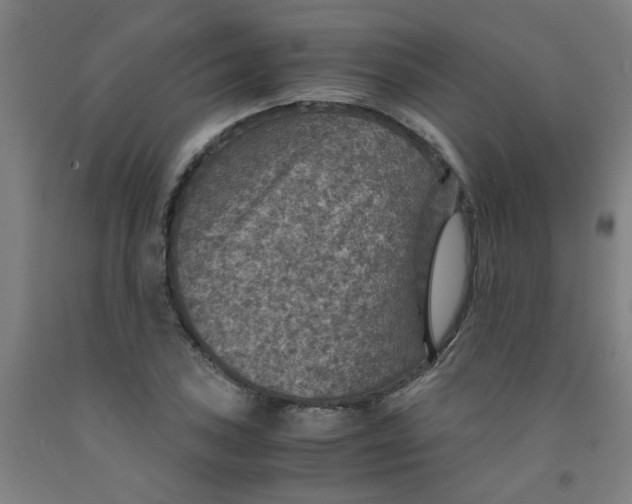 X0000091961027200709271342