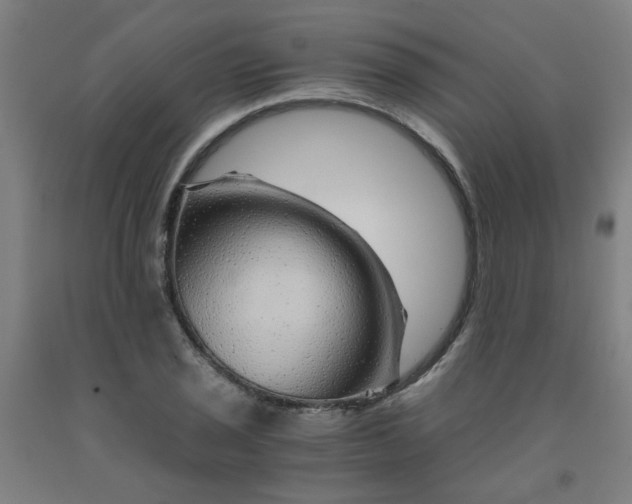 X0000091961029200709271342