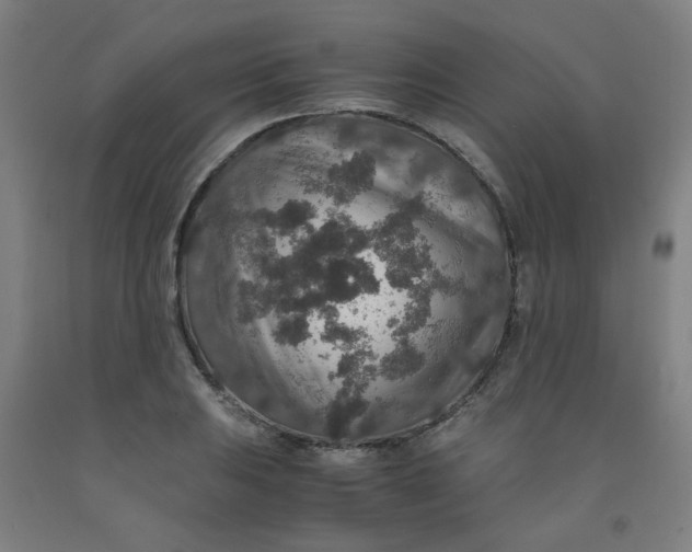 X0000091961031200709271342