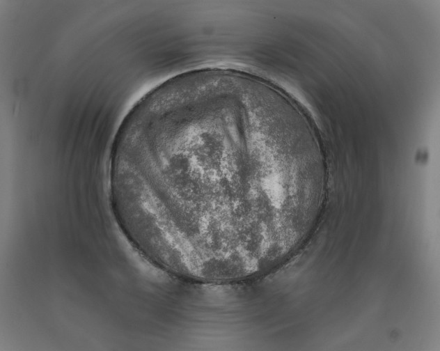 X0000091961032200709271342