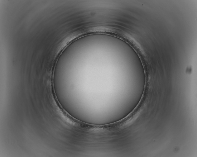 X0000091961033200709271342