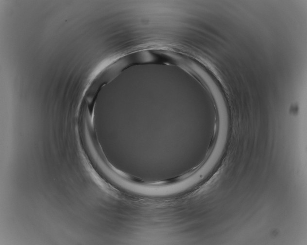 X0000091961034200709271342