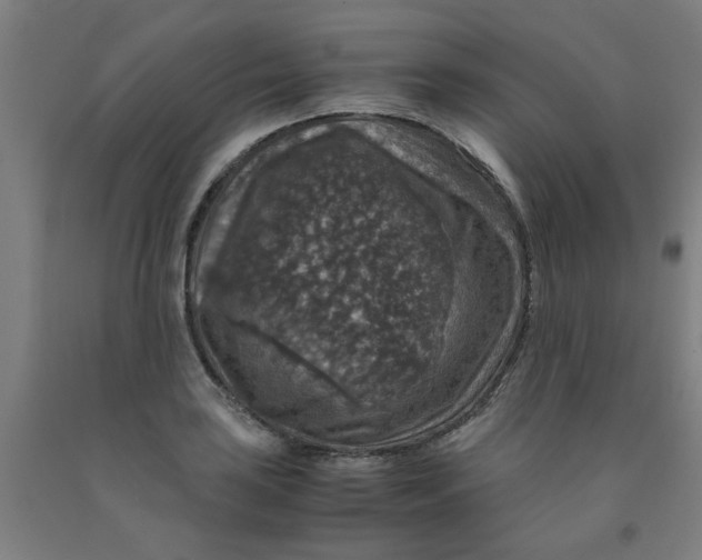 X0000091961035200709271342