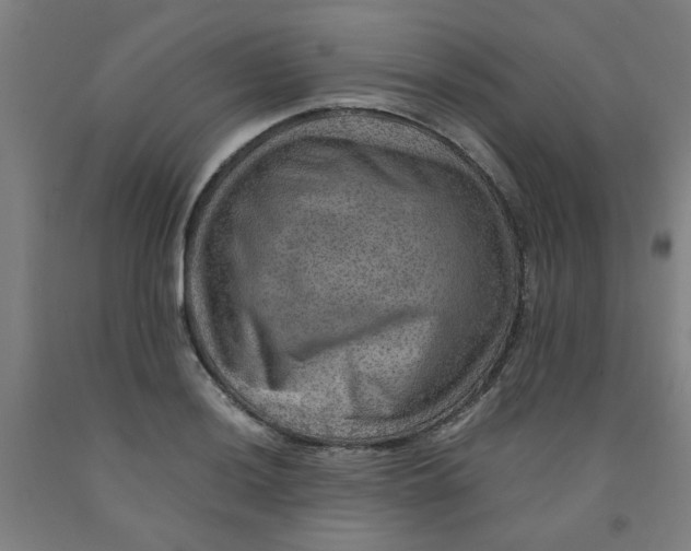 X0000091961036200709271342