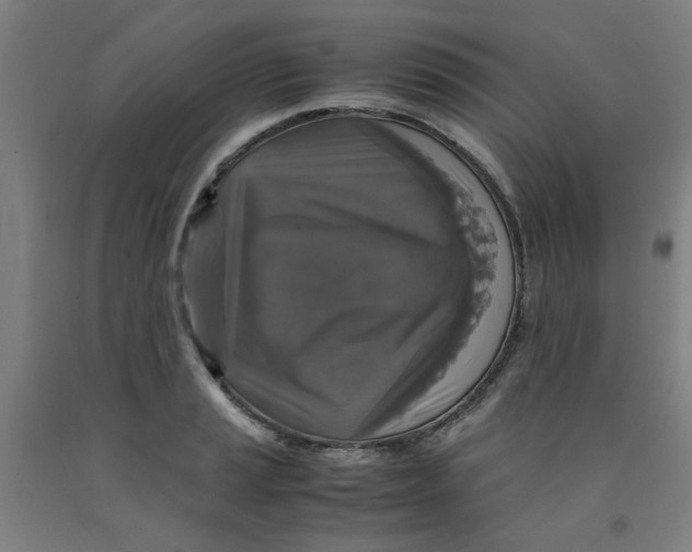 X0000091961037200709271342