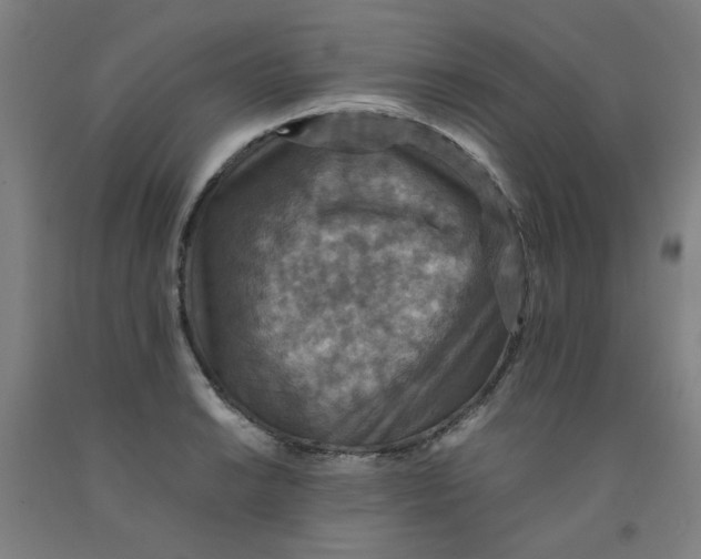 X0000091961038200709271342