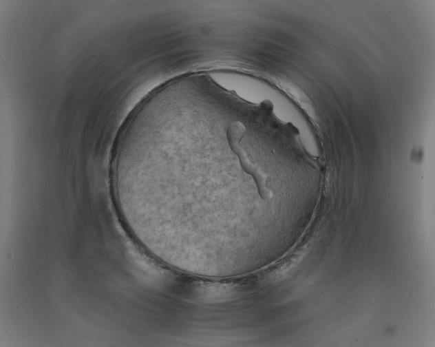 X0000091961039200709271342