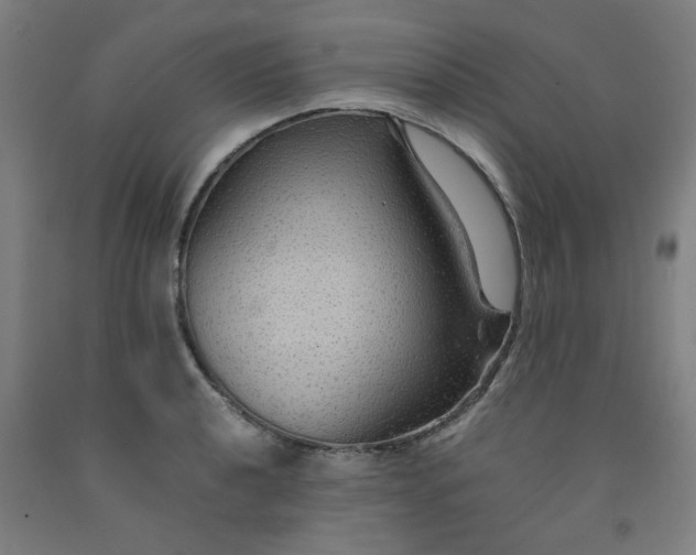 X0000091961040200709271342