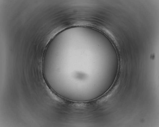 X0000091961041200709271342