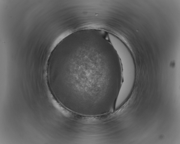 X0000091961042200709271342