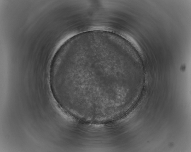 X0000091961043200709271342