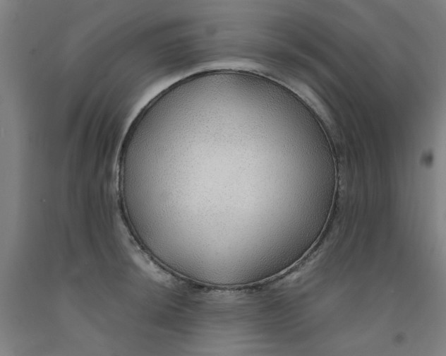 X0000091961044200709271342