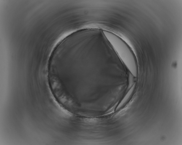 X0000091961045200709271342