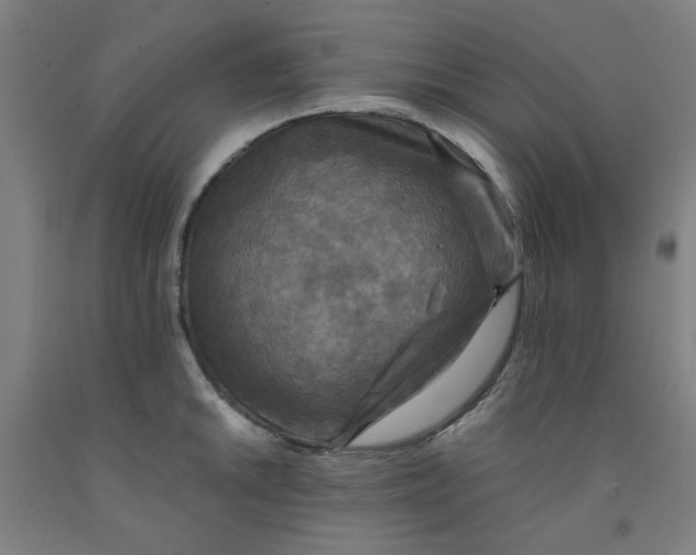 X0000091961046200709271342