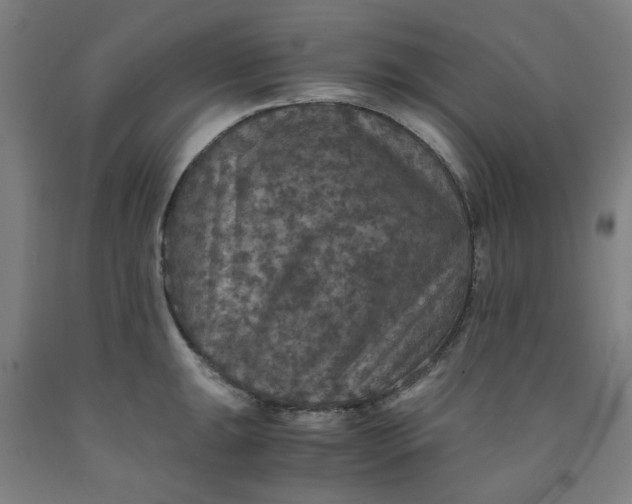 X0000091961047200709271342