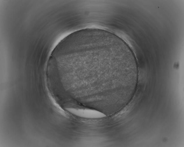 X0000091961048200709271342