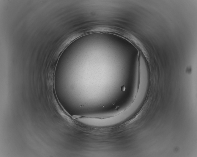 X0000091961049200709271342