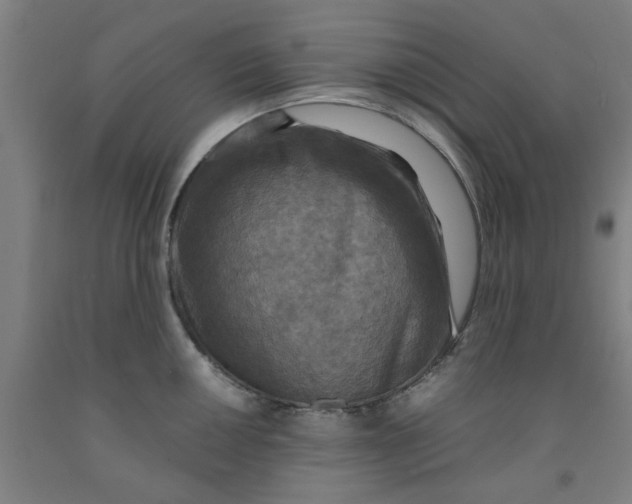 X0000091961050200709271342