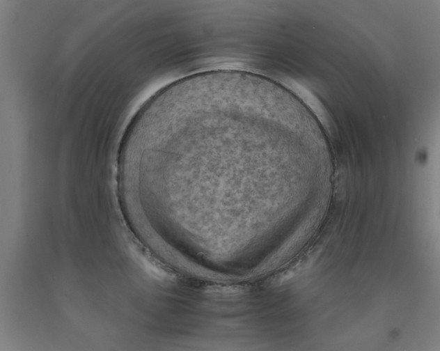 X0000091961051200709271342