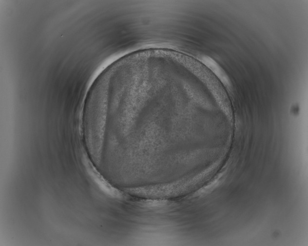 X0000091961052200709271342