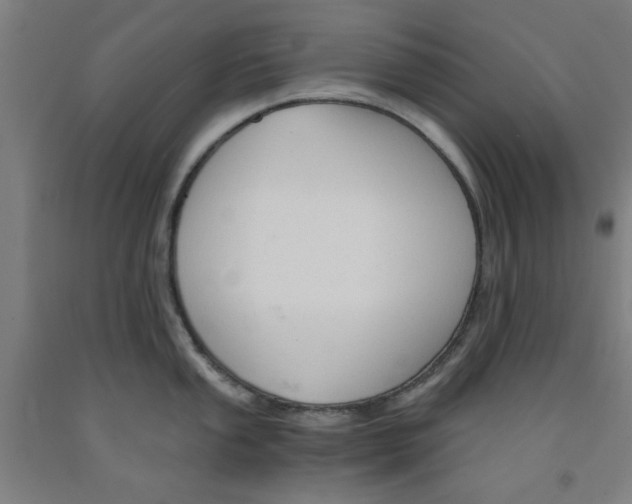 X0000091961053200709271342