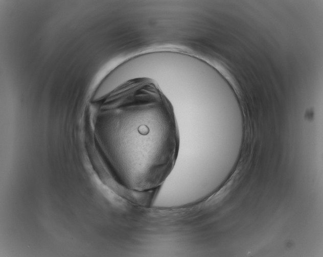 X0000091961054200709271342