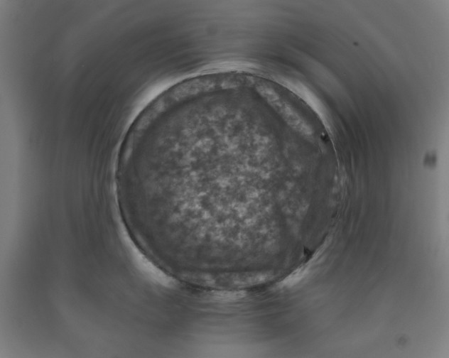 X0000091961055200709271342