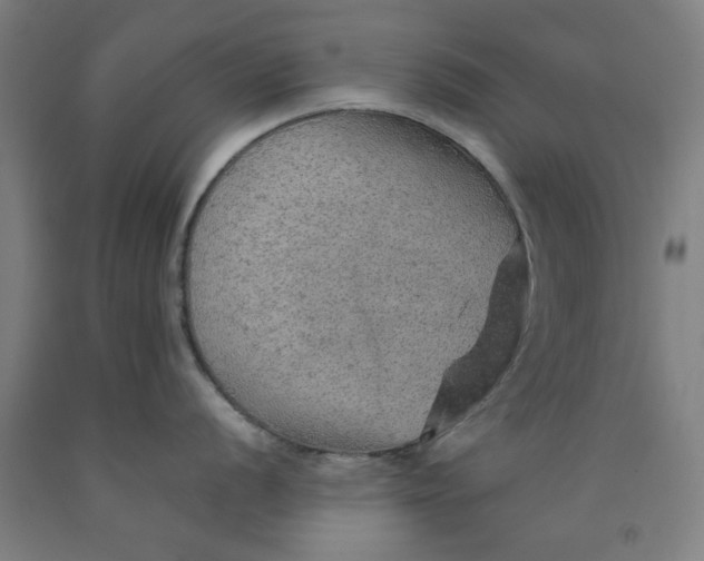 X0000091961056200709271342