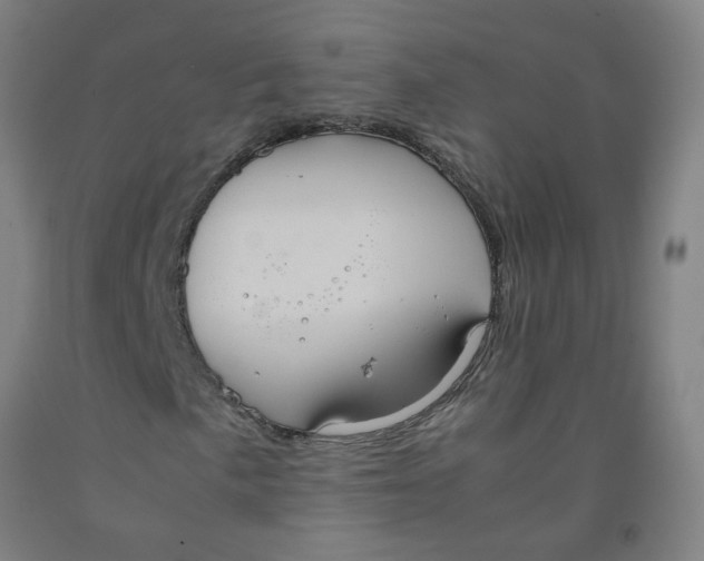 X0000091961057200709271342