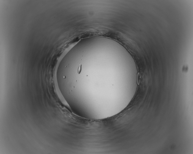 X0000091961058200709271342