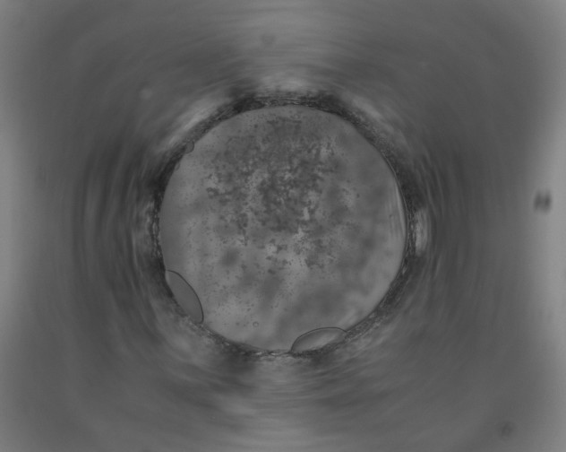 X0000091961059200709271342