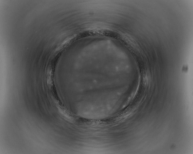 X0000091961060200709271342