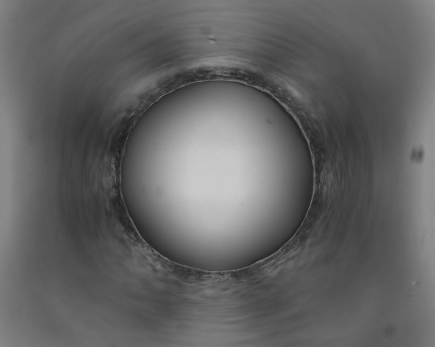 X0000091961062200709271342