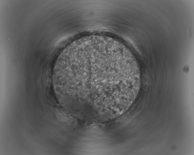 X0000091961063200709271342