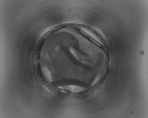 X0000091961064200709271341