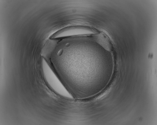 X0000091961065200709271341