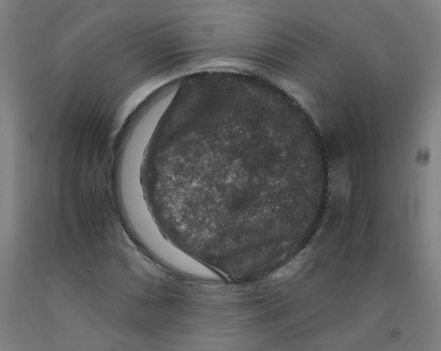 X0000091961066200709271341