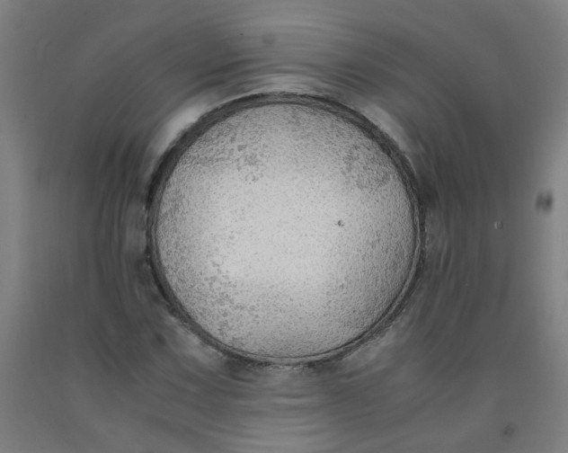 X0000091961067200709271341