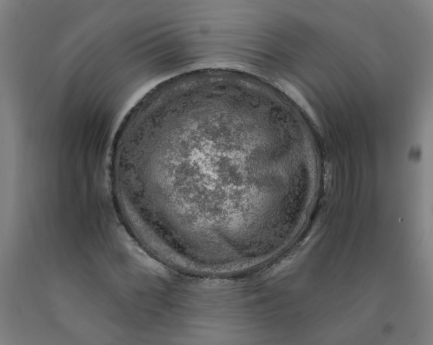 X0000091961068200709271341