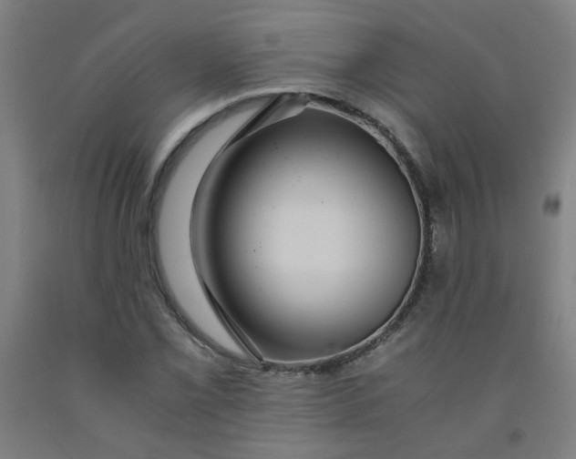 X0000091961069200709271341