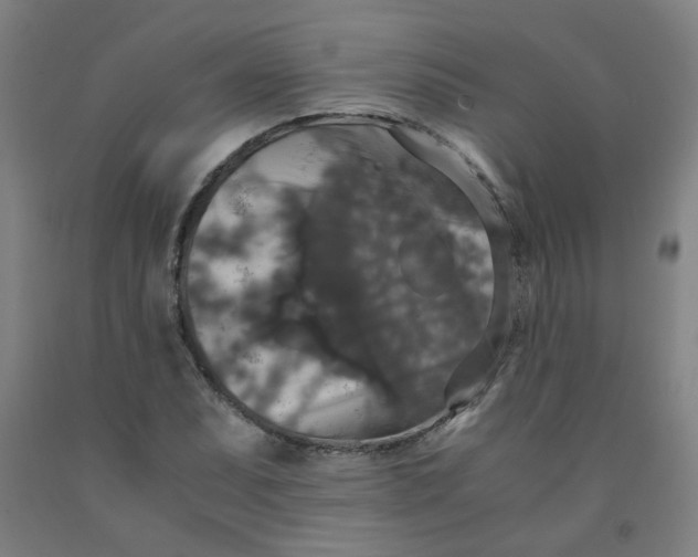 X0000091961071200709271341