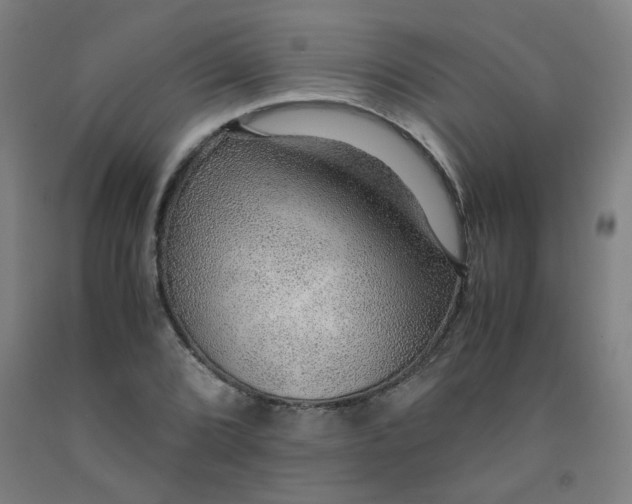 X0000091961072200709271341