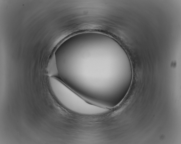 X0000091961073200709271341