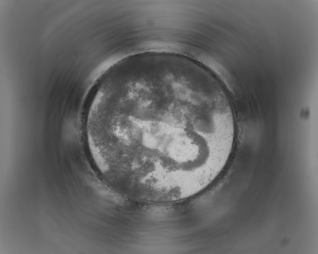 X0000091961074200709271341