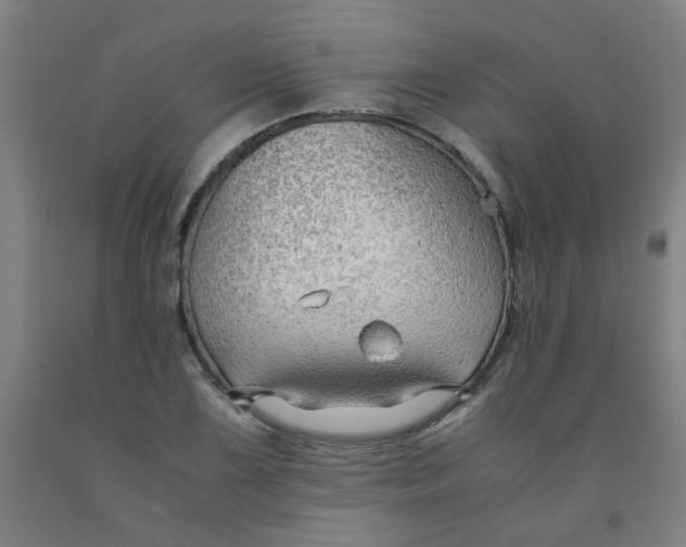 X0000091961075200709271341