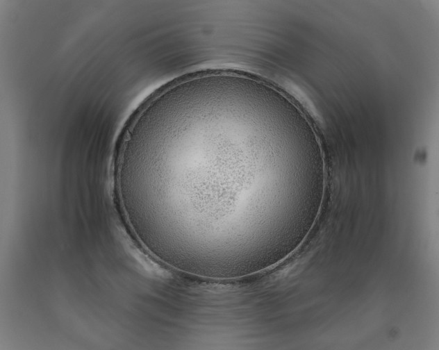 X0000091961076200709271341