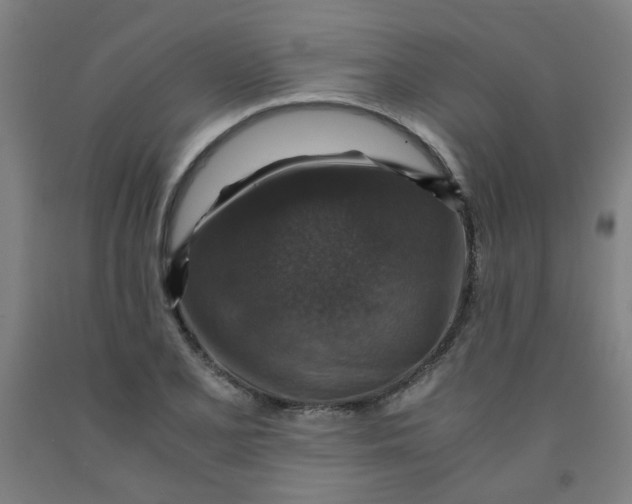 X0000091961077200709271341